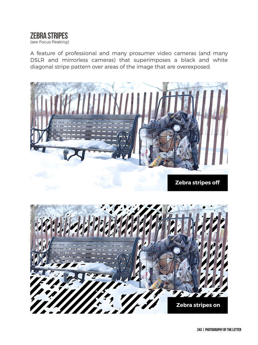 Zebra Stripes Zebra Stripes